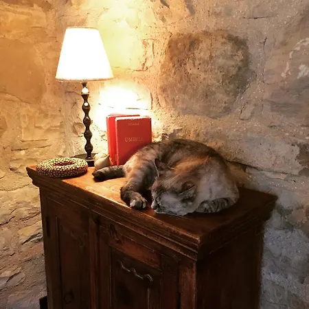 La Corte Del Lupo Alloggio per agriturismo *